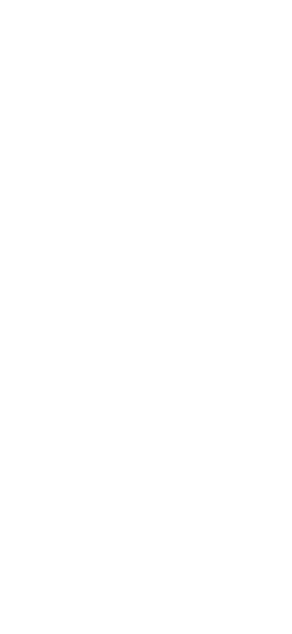 ESSEC DENIM 